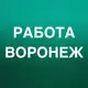 Аватар канала РАБОТА В ВОРОНЕЖЕ
