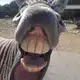 Аватар канала Прикольные видео