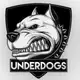 Аватар канала UNDERDOGS ™ | Ошибка букмекера