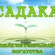 Аватар канала САДАКА