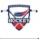 Аватар канала Хоккей Новости 🏒