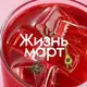 Аватар канала Жизньмарт
