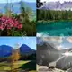 Аватар канала Südtirol in allen Farben