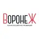 Аватар канала Воронеж