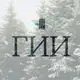 Аватар канала Новости ГИИ