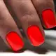 Аватар канала Studio Rose Nail