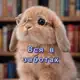 Аватар канала 🌸Рест🌸Белая обитель ☁️Юн☁️