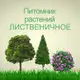 Аватар канала Питомник ЛИСТВЕНИЧНОЕ