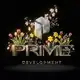 Аватар канала ПРАЙМ ДЕВЕЛОПМЕНТ (PRIME DEVELOPMENT)