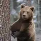 Аватар канала Temshik//Отзывы