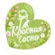 Аватар канала Приют для собак «Красная Сосна»