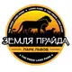 Аватар канала Парк львов ЗЕМЛЯ ПРАЙДА 🦁