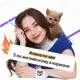 Аватар канала ОГЭ на excellent | Алина Максимова ОГЭ английский | Умскул