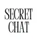 Аватар канала SECRET CHAT