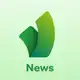 Аватар канала Vision Browser Новости