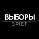 Аватар канала Выборы Brief