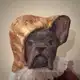 Аватар канала Conte_de_coton. Сказ из ваты Анастасии