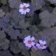 Аватар канала 🦋Beautiful Life🦋🍀