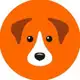 Аватар канала Муниципальный приют для собак в Химках (GetDog)