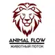 Аватар канала ANIMAL FLOW с Анастасией Канивец