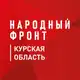 Аватар канала Народный Фронт | Курская область