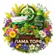 Аватар канала 🌱Зеленый навигатор🌱Лама Торф