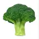 Аватар канала я Эд, а не Эдик🥦