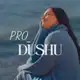 Аватар канала pro_dushu