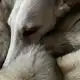 Аватар канала ЭЙКО