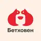 Аватар канала Бетховен