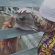Аватар канала Пенаты - Коррекционная школа , Детский Центр развития и коррекции Ростов-на-Дону