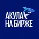 Аватар канала Акула на Бирже