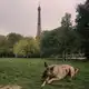 Аватар канала Все деньги парижских корпораций