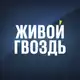 Аватар канала Живой Гвоздь