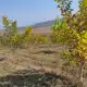 Аватар канала Плодородие Земли