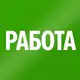 Аватар канала «YЛЭ»