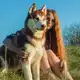Аватар канала Катерина Пискунова и стая 🐺
