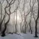 Аватар канала тульпа смотрит