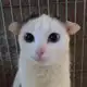 Аватар канала Сушняк!