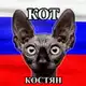 Аватар канала Кот Костян - официальный канал🇷🇺