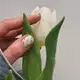 Аватар канала Wildberries для Бьюти мастера | OZON вайлдберриз beauty маникюр брови макияж находки wb