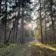 Аватар канала Лучшие отели Подмосковья