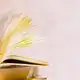 Аватар канала моя подруга книга