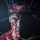 Аватар канала MMA review