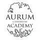 Аватар канала Aurum Academy