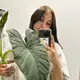 Аватар канала Mari’s plants 🪴