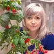 Аватар канала ОГОРОДНИЦА ВИКА ИРКУТСК
