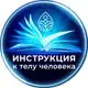 Аватар канала Инструкция к телу человека! Офф канал