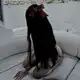 Аватар канала pretty.casly