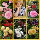 Аватар канала Цветочница Анюта 🌹